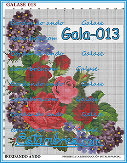 Gala-013