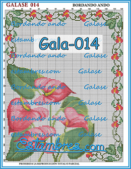 Gala-014