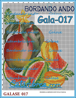 Gala-017