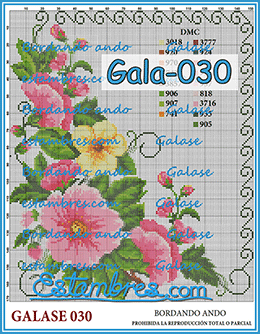 Gala-030