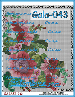 Gala-043