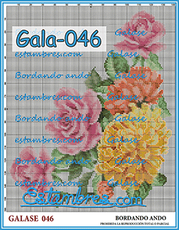 Gala-046