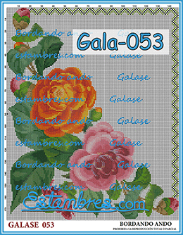 Gala-053