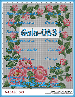 Gala-063