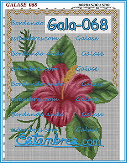 Gala-068