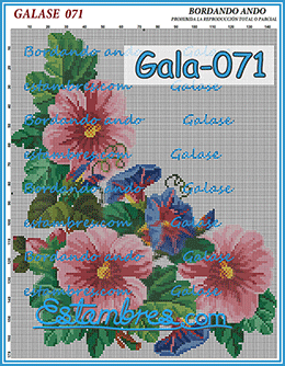 Gala-071