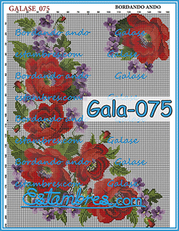 Gala-075