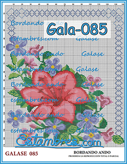 Gala-085