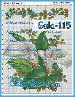 Gala-115