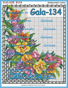 Gala-134