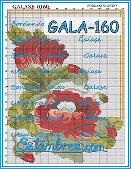 Gala-160