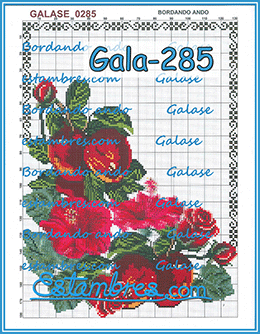 Gala-285