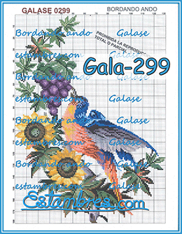 Gala-299