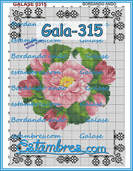 Gala-315