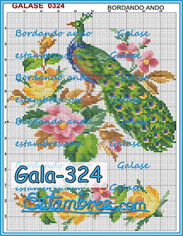 Gala-324