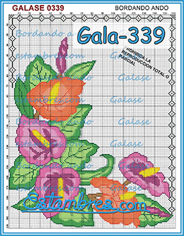 Gala-339