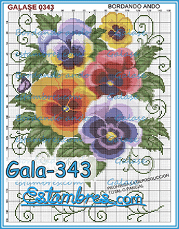 Gala-343