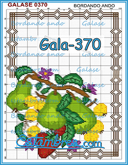 Gala-370